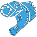 SC Toulon et Var